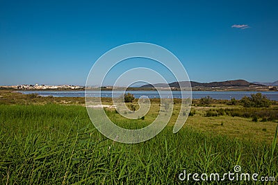 Lagoon. Stock Photo